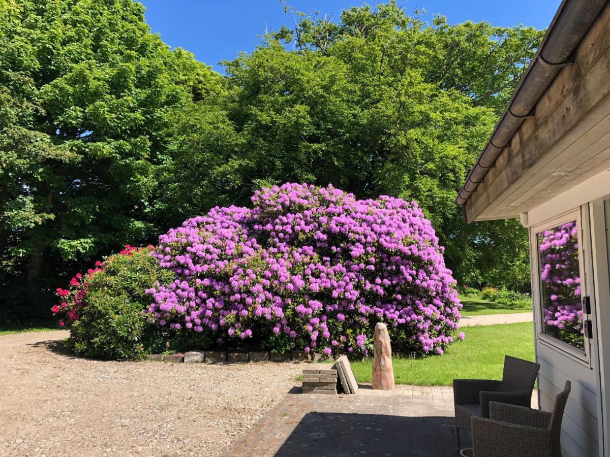 Landevejens B&B Holstebro Ngoại thất bức ảnh